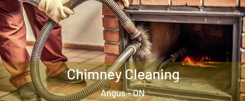 Chimney Cleaning Angus - ON