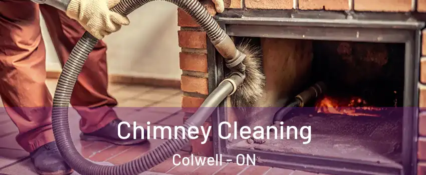 Chimney Cleaning Colwell - ON