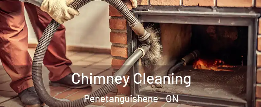  Chimney Cleaning Penetanguishene - ON
