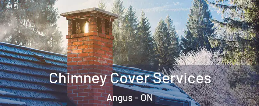 Chimney Cover Services Angus - ON