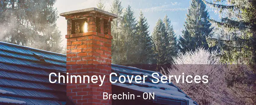  Chimney Cover Services Brechin - ON