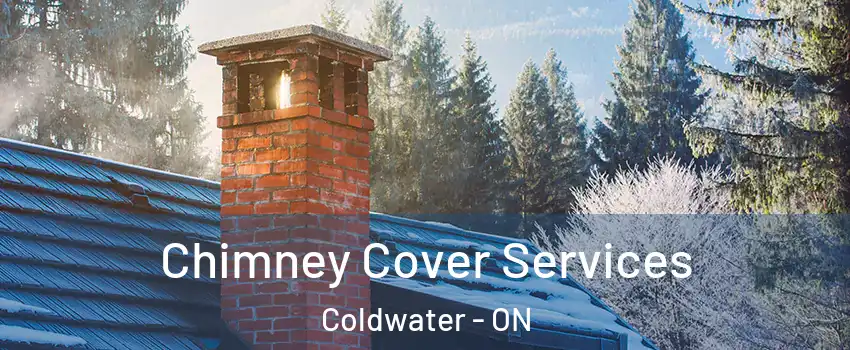  Chimney Cover Services Coldwater - ON