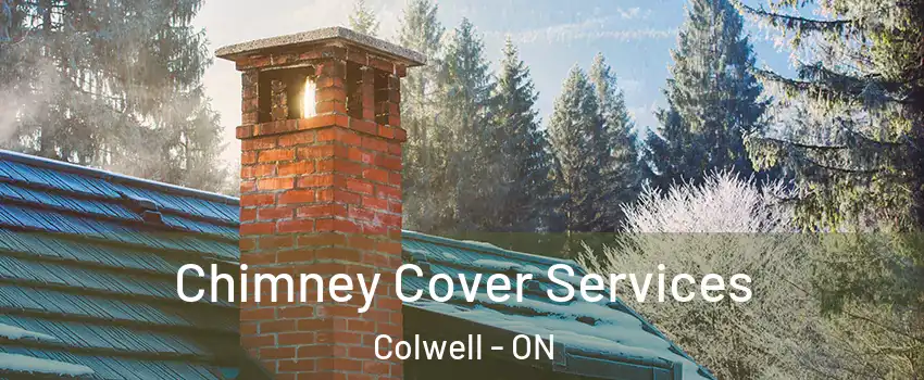  Chimney Cover Services Colwell - ON