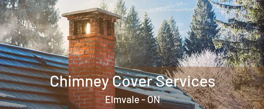 Chimney Cover Services Elmvale - ON