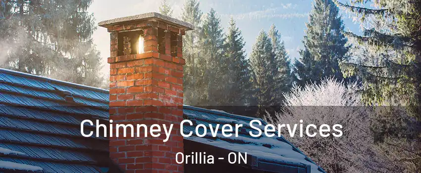  Chimney Cover Services Orillia - ON