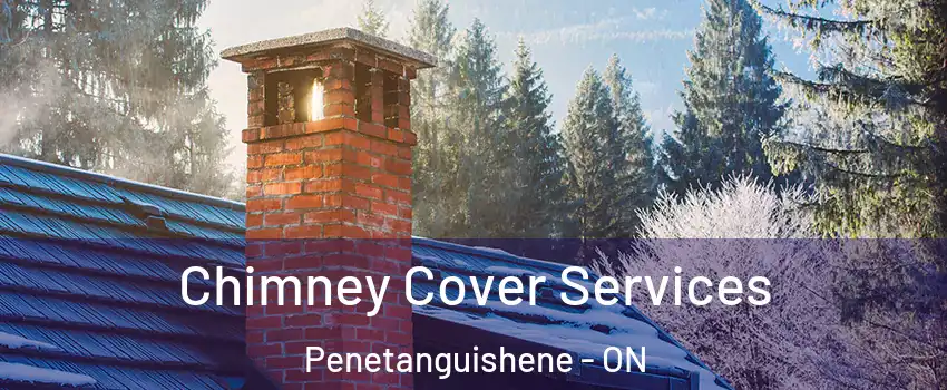  Chimney Cover Services Penetanguishene - ON