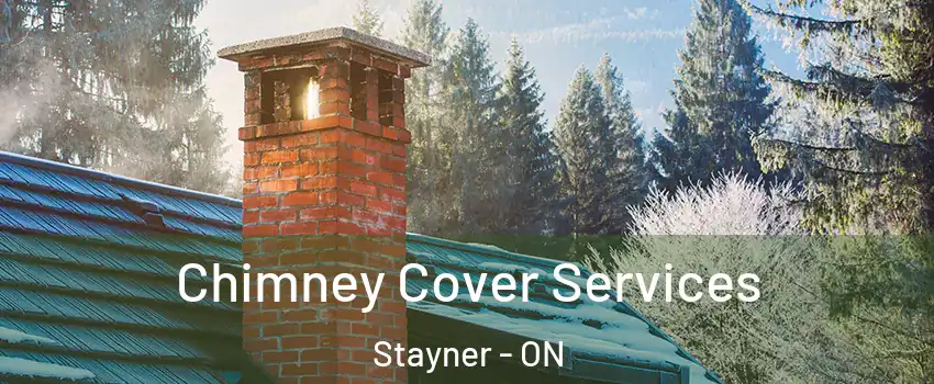  Chimney Cover Services Stayner - ON