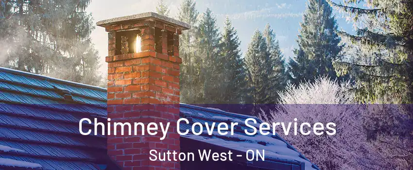 Chimney Cover Services Sutton West - ON