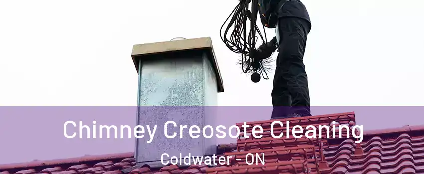  Chimney Creosote Cleaning Coldwater - ON