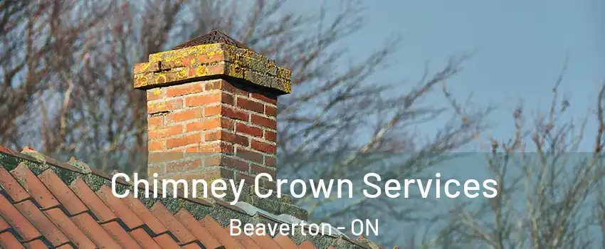 Chimney Crown Services Beaverton - ON