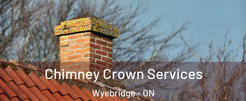 Chimney Crown Services Wyebridge - ON