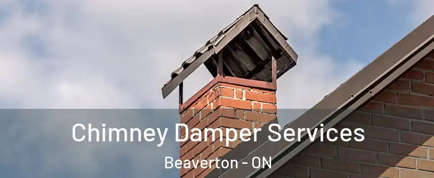 Chimney Damper Services Beaverton - ON