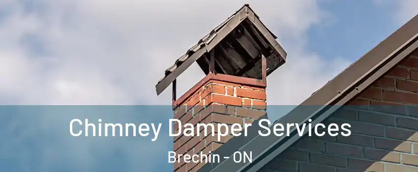  Chimney Damper Services Brechin - ON