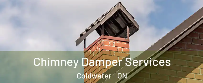 Chimney Damper Services Coldwater - ON
