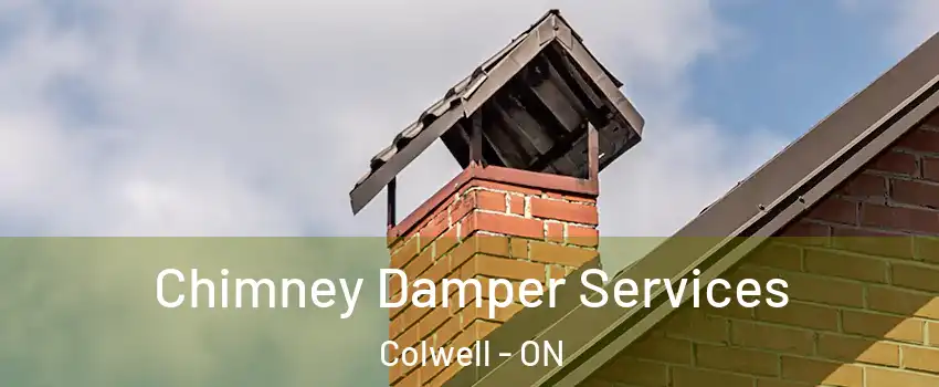 Chimney Damper Services Colwell - ON