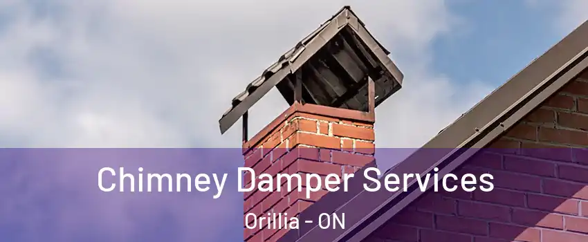  Chimney Damper Services Orillia - ON