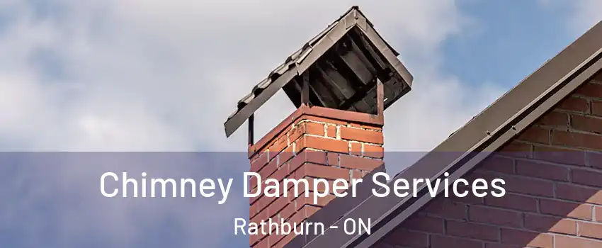  Chimney Damper Services Rathburn - ON