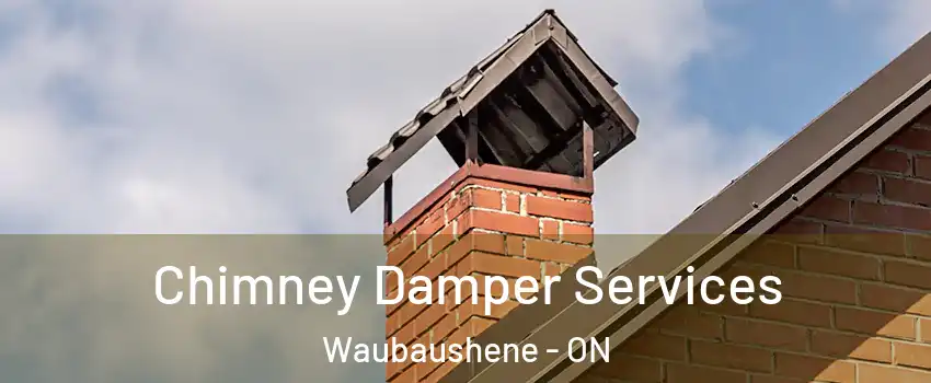  Chimney Damper Services Waubaushene - ON