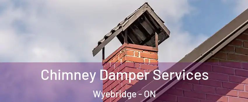 Chimney Damper Services Wyebridge - ON