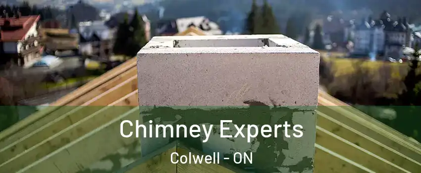 Chimney Experts Colwell - ON