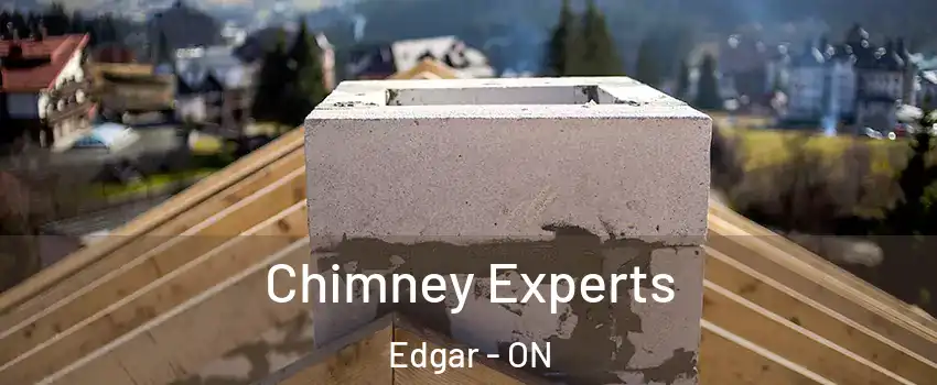  Chimney Experts Edgar - ON