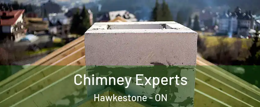  Chimney Experts Hawkestone - ON