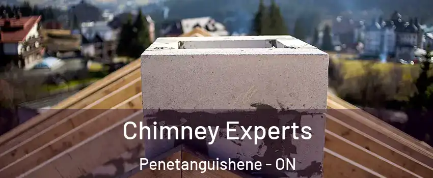  Chimney Experts Penetanguishene - ON