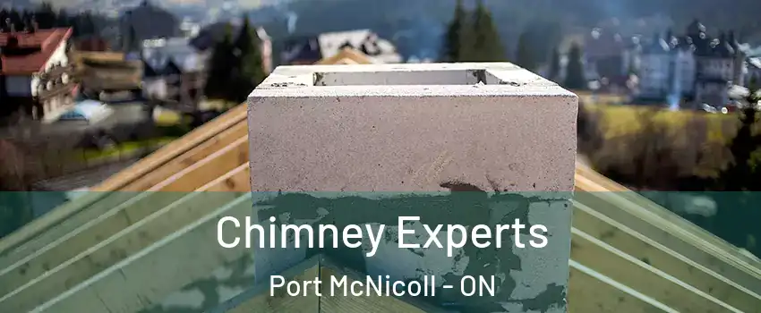  Chimney Experts Port McNicoll - ON