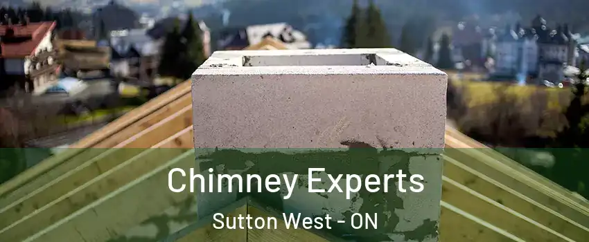 Chimney Experts Sutton West - ON