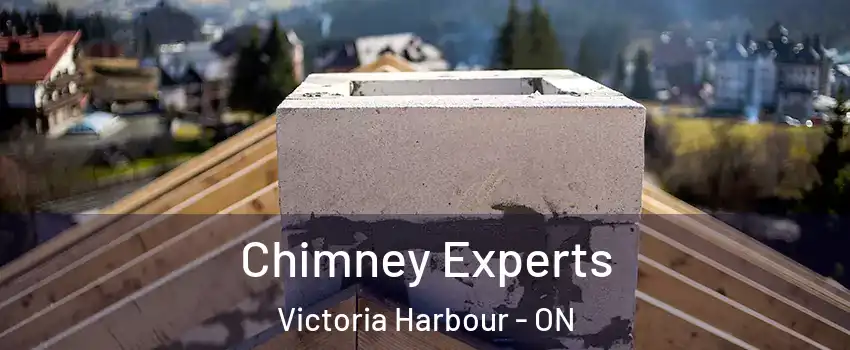  Chimney Experts Victoria Harbour - ON