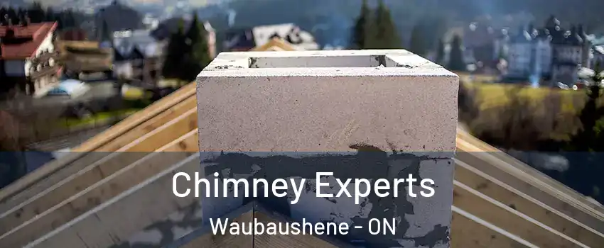  Chimney Experts Waubaushene - ON