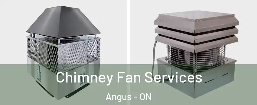  Chimney Fan Services Angus - ON
