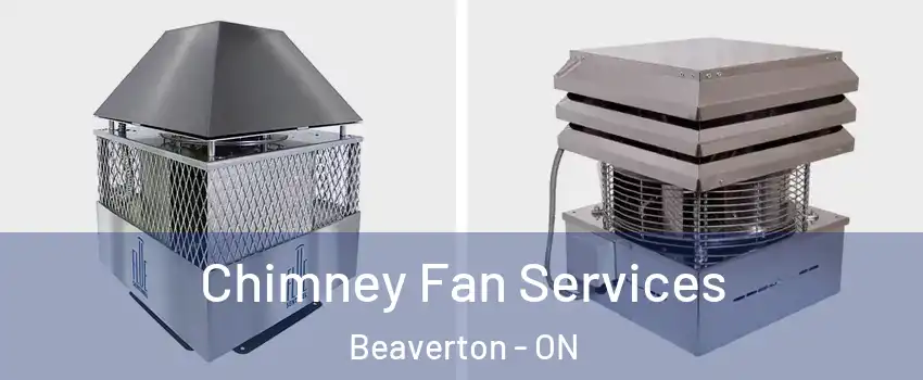  Chimney Fan Services Beaverton - ON