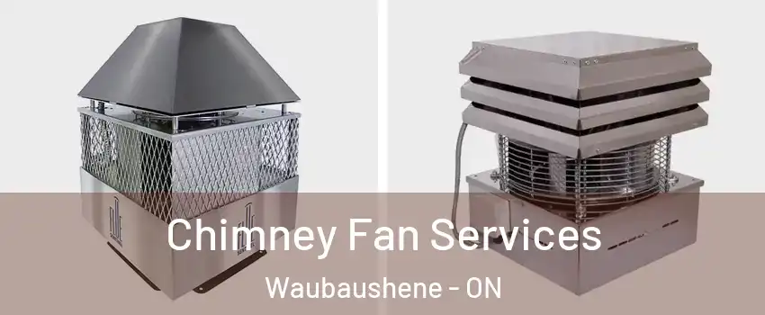  Chimney Fan Services Waubaushene - ON