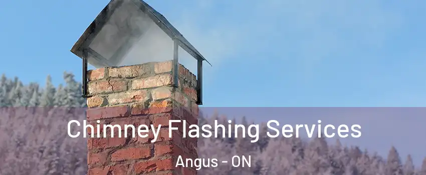 Chimney Flashing Services Angus - ON