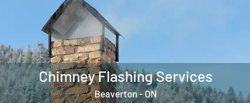  Chimney Flashing Services Beaverton - ON