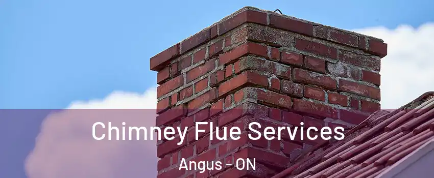 Chimney Flue Services Angus - ON