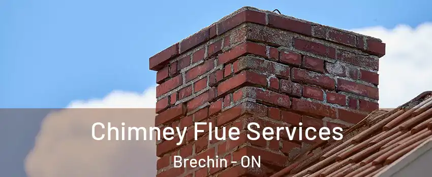  Chimney Flue Services Brechin - ON