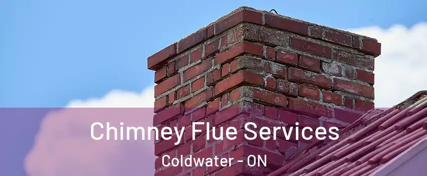Chimney Flue Services Coldwater - ON
