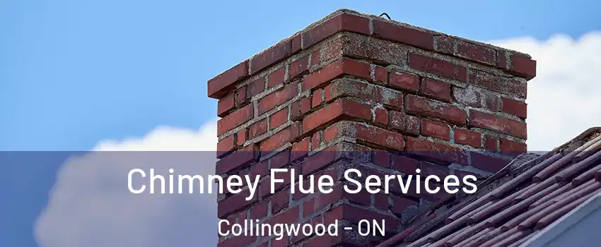  Chimney Flue Services Collingwood - ON