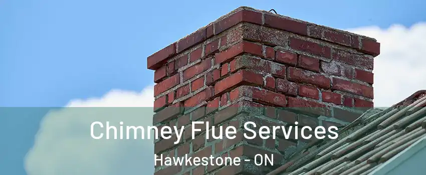 Chimney Flue Services Hawkestone - ON