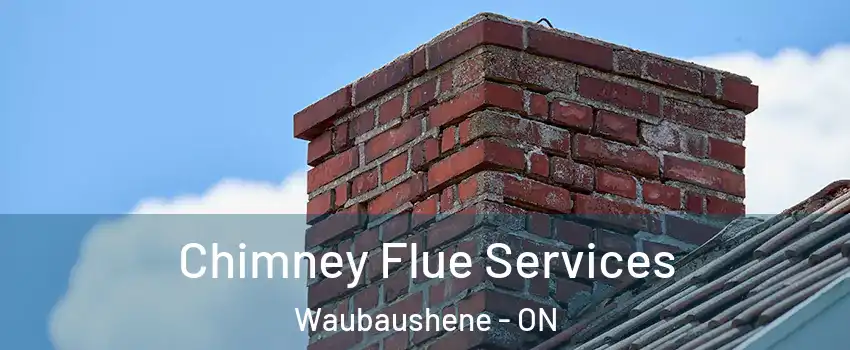  Chimney Flue Services Waubaushene - ON