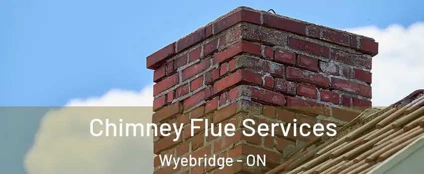 Chimney Flue Services Wyebridge - ON