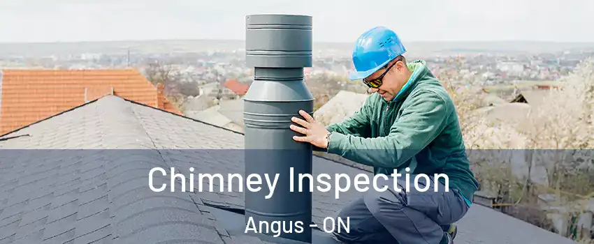 Chimney Inspection Angus - ON