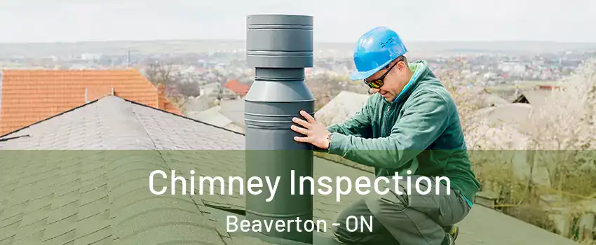  Chimney Inspection Beaverton - ON