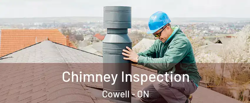  Chimney Inspection Cowell - ON