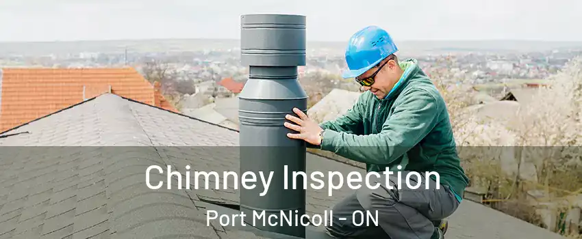  Chimney Inspection Port McNicoll - ON