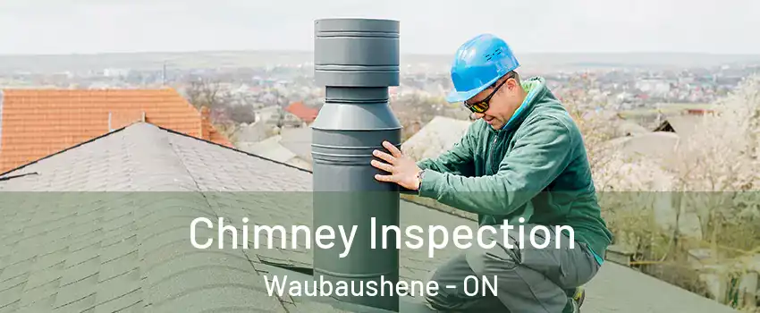  Chimney Inspection Waubaushene - ON