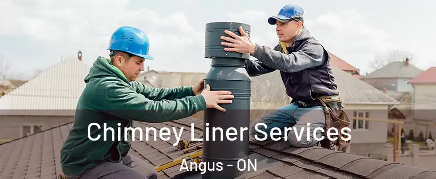 Chimney Liner Services Angus - ON