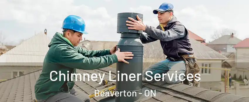 Chimney Liner Services Beaverton - ON